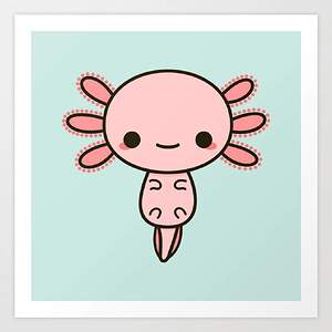 axolotl 3