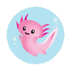 axolotl 1