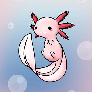 axolotl 2